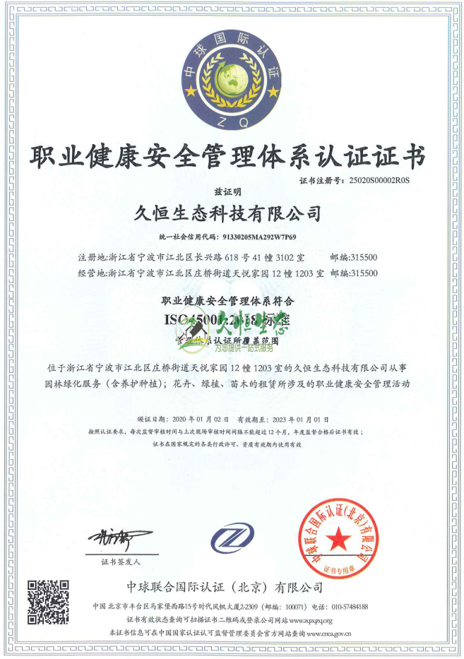硚口职业健康安全管理体系ISO45001证书